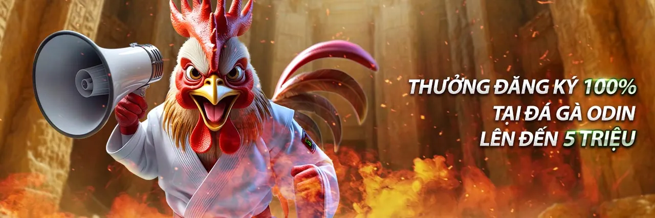 Banner hoàn trả thể thao hàng tuần 234win